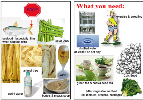 CHỐNG GOUT VÀ THỰC PHẨM
