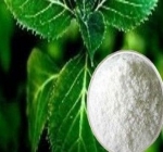 YOHIMBE EXTRACT